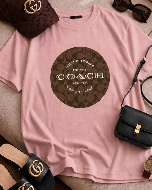 InShot_20260801_152901456 تیشرت باکسی coach - تصویر 1